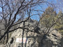 -阳台山自然风景区