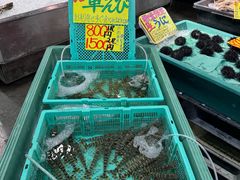 -南纪白浜Toretore市场