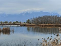 -野鸭湖国家湿地公园