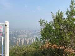 -杭州半山国家森林公园