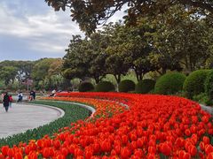 -上海鲜花港