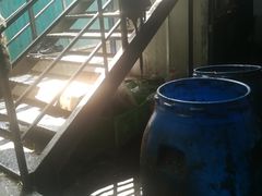 -窄巷子陕菜馆·地道陕西菜(粉巷店)