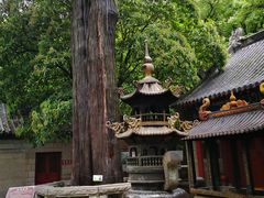 -青岛崂山太清宫