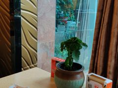 -芭夯兔·兔肉汤锅(新都店)