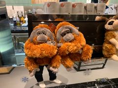-ZOO COFFEE动物园咖啡(望京锐创店)