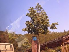 -梁野山景区