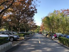 -复旦大学附属华山医院(浦东院区)