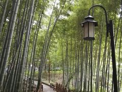 -宝岩生态观光园