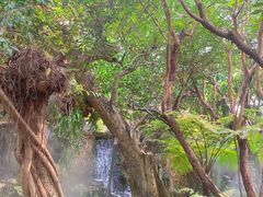 -Chom Cafe and Restaurant