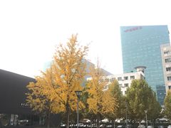 -中国建筑科学研究院科研试验大楼