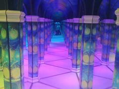 -天津梵高星空艺术馆(天河城旗舰店)