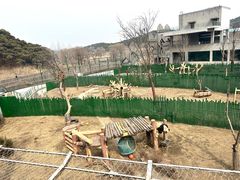 -沈阳森林动物园