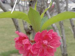 -文华公园(禅城区)