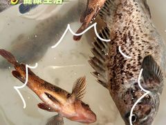 -东辰望海鱼码头·海鲜餐厅