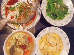 -小蝌蚪·寻·月嫂(普陀总部)