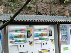 -黔灵山公园