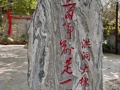 -大槐树寻根祭祖园