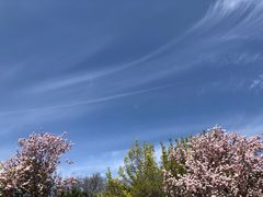 -海棠花溪(元大都城垣遗址公园)