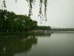 -昆山城市生态森林公园