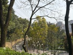 -重庆平顶山公园