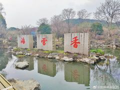 -香雪海