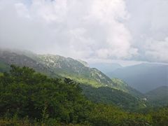 -秦岭风景区