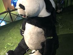 -成都泰迪熊博物馆