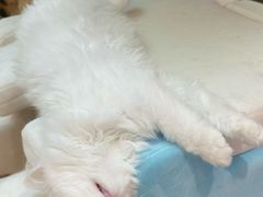 -首开·龙湖成都西宸天街