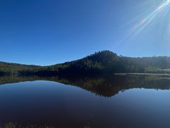 -五营红松林海景区