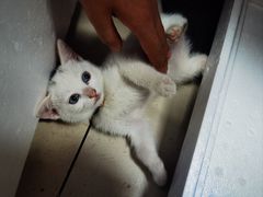 -正飞鲜奶(吐鲁番路店)