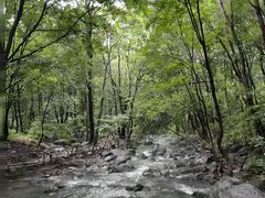 -帽儿山国家森林公园