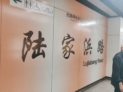 -陆家浜路(地铁站)