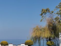 -野菌皇海景野生菌火锅(滨海大道店)