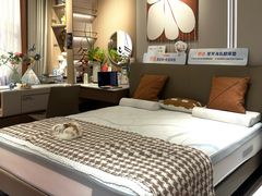 -索菲亚衣柜橱柜全屋定制(真北红星店)