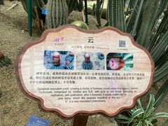 -南山植物园