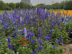 -黄河三峡风景名胜区