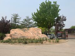 -大兴滨河森林公园