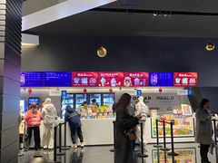 -奥斯卡升龙国际影城(RealD Cinema)