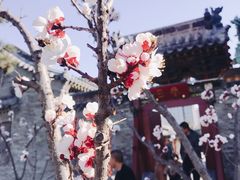 -迎泽公园