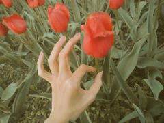 -长春公园(普阳街道)