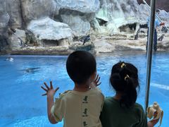 -帝企鹅自助餐厅•儿童岛•真企鹅(长隆企鹅酒店)