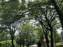 -达活泉公园
