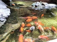 -佛有缘素食馆·荔湾老字号(陈家祠首店)