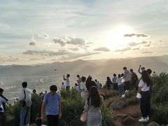 -长虫山生态公园风景林