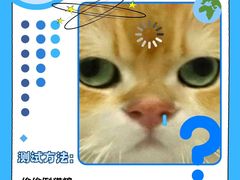 -lincat·猫舍(广州店)
