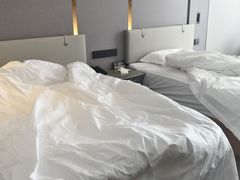 -北京国玉大酒店(鸟巢科技馆店)