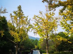 -八卦田遗址公园