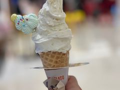 -野人牧坊Gelato(苏州中心店)