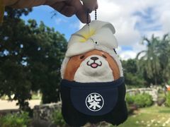 -圣佩德罗堡