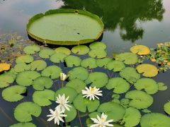 -国家植物园南园